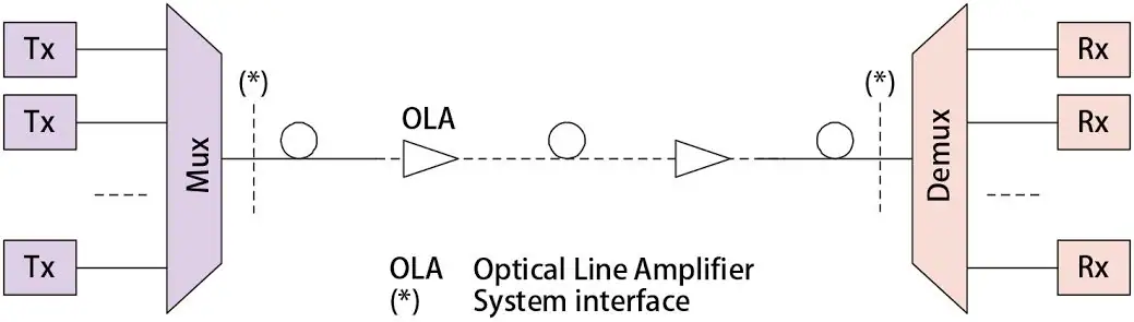 خليني أحكي لك عن شوية نجوم في عالم شبكات WDM – وكل واحد فيهم عنده دور مهم في القصة دي!